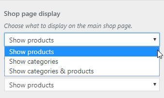 WordPress Customizer Shop Page Display Options