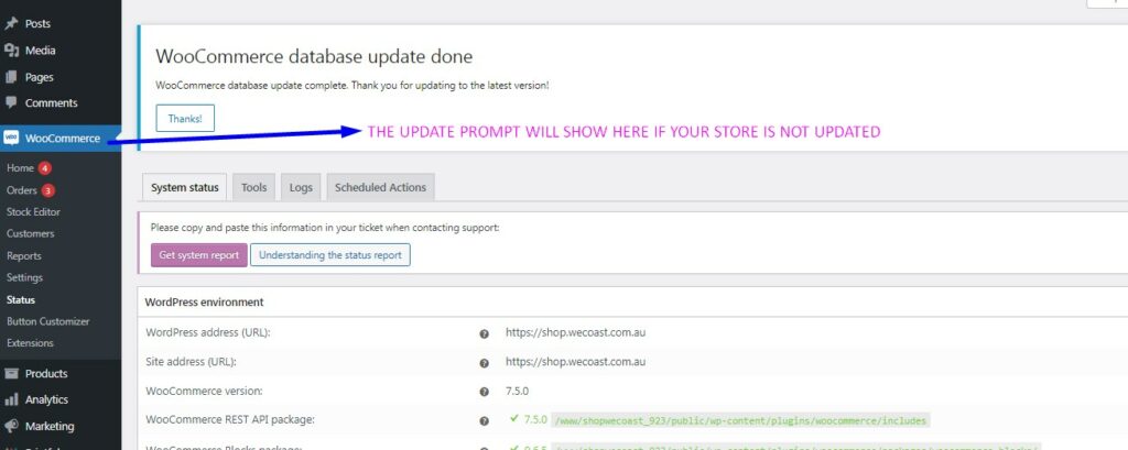 Screenshot showing how to update a WooCommerce store